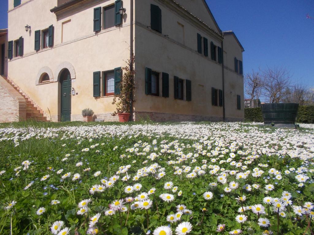 Bed and Breakfast I Ciliegi Osimo Exteriér fotografie