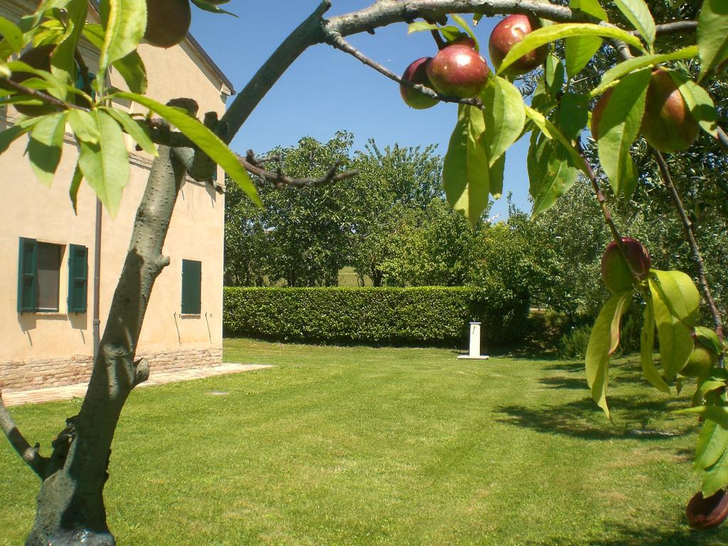 Bed and Breakfast I Ciliegi Osimo Exteriér fotografie