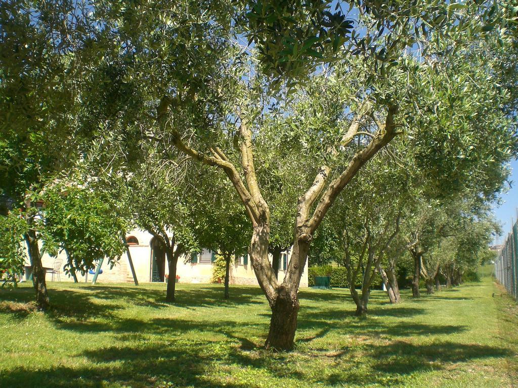 Bed and Breakfast I Ciliegi Osimo Exteriér fotografie