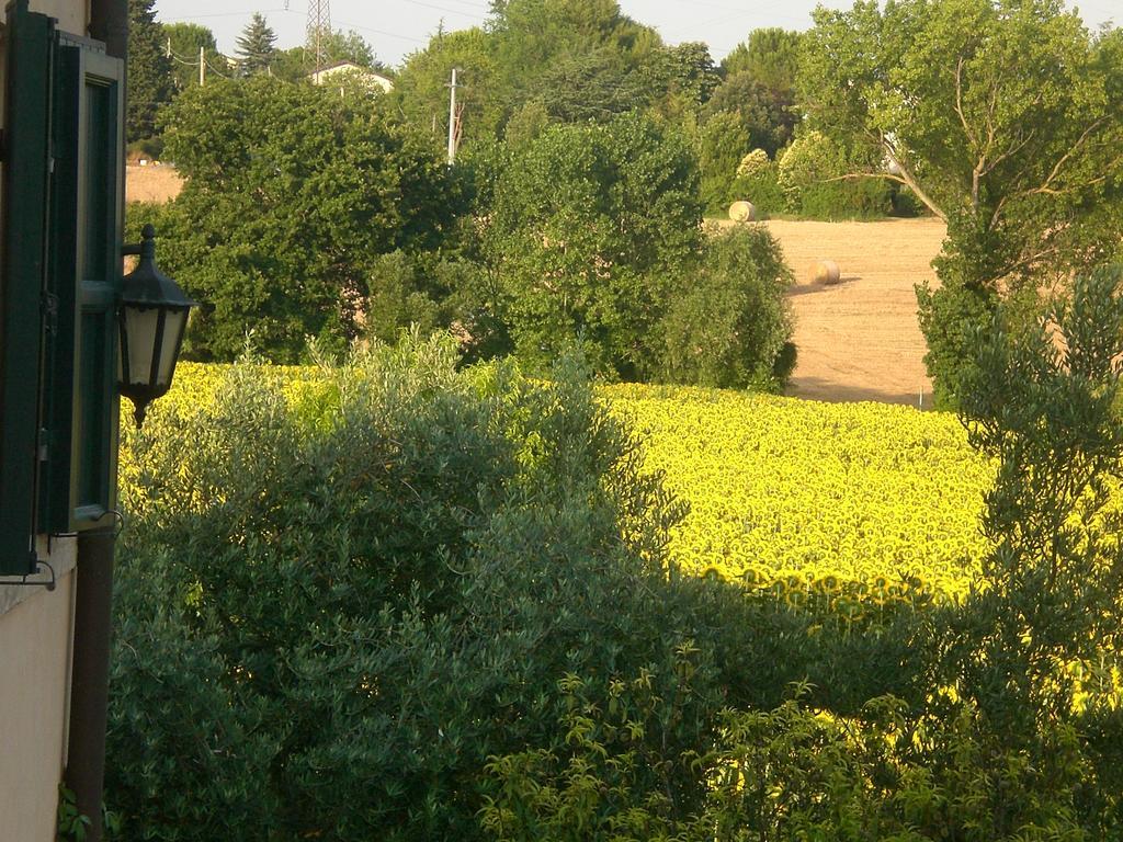 Bed and Breakfast I Ciliegi Osimo Exteriér fotografie