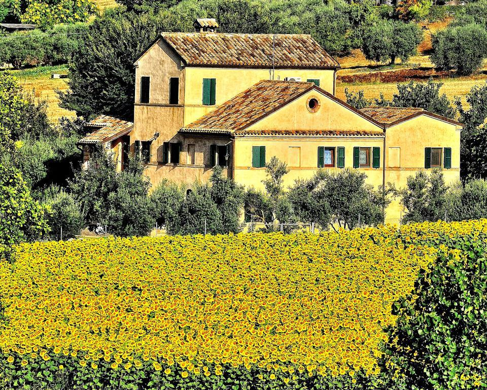 Bed and Breakfast I Ciliegi Osimo Exteriér fotografie