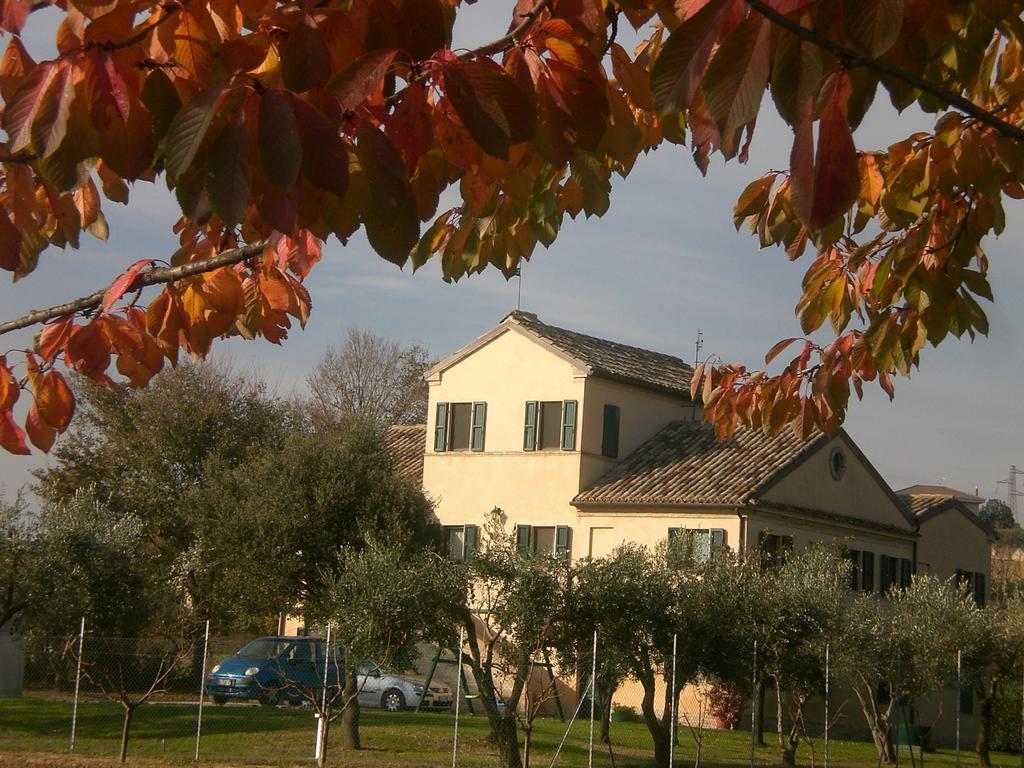 Bed and Breakfast I Ciliegi Osimo Exteriér fotografie