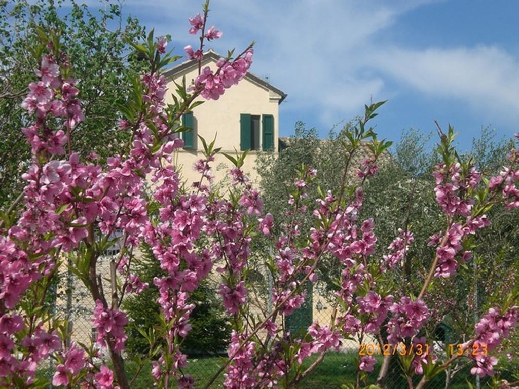 Bed and Breakfast I Ciliegi Osimo Exteriér fotografie