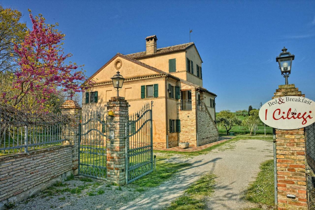 Bed and Breakfast I Ciliegi Osimo Exteriér fotografie