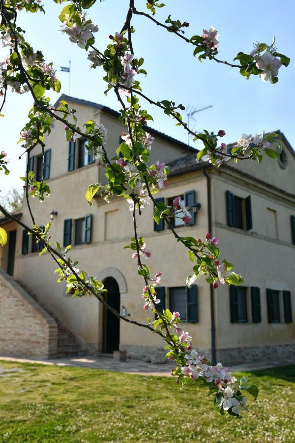 Bed and Breakfast I Ciliegi Osimo Exteriér fotografie