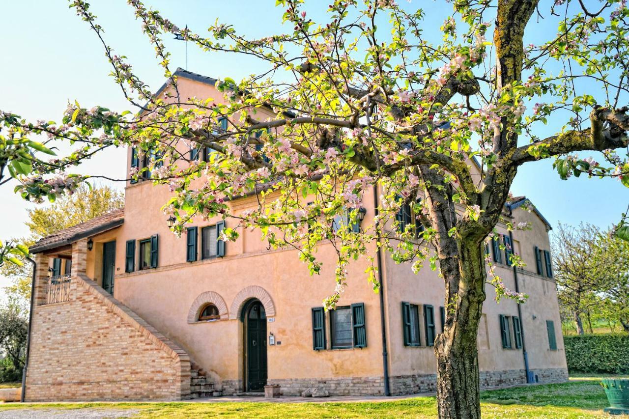 Bed and Breakfast I Ciliegi Osimo Exteriér fotografie