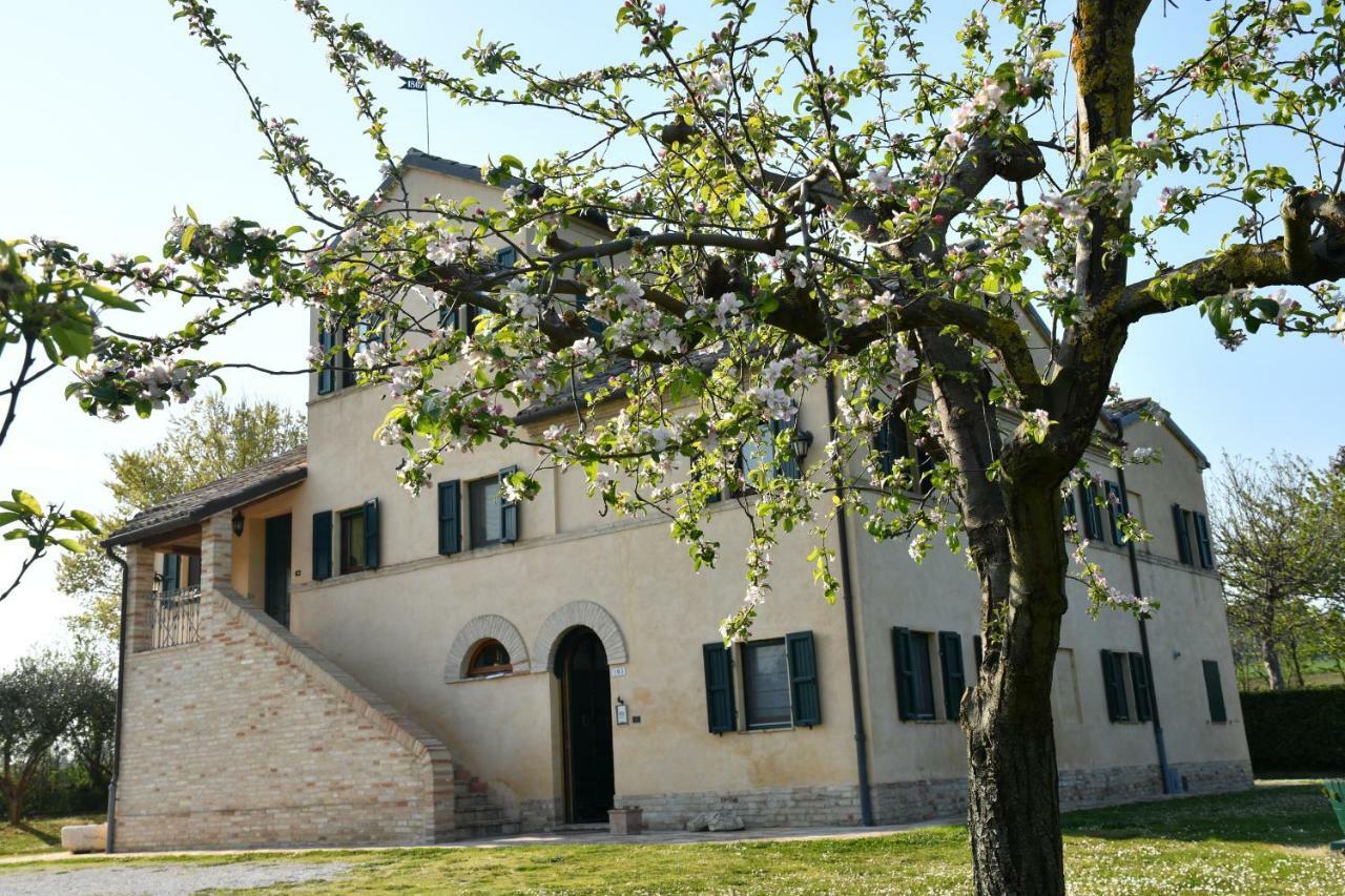 Bed and Breakfast I Ciliegi Osimo Exteriér fotografie