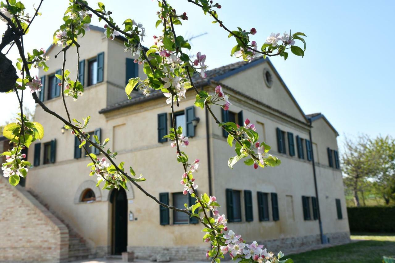 Bed and Breakfast I Ciliegi Osimo Exteriér fotografie